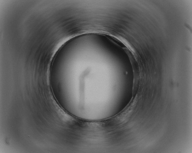 X0000091301246200708241044