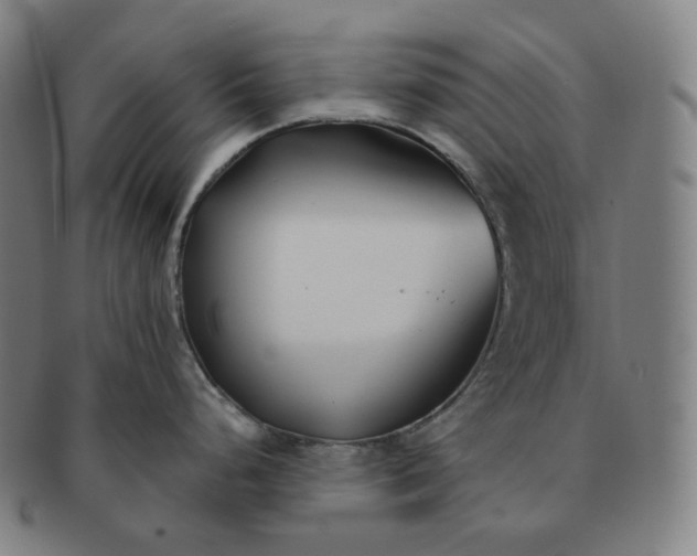 X0000091301248200708241044