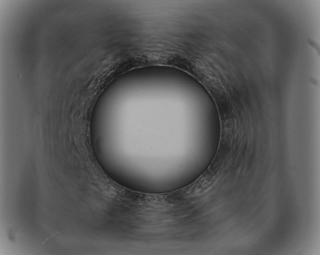 X0000091301249200708241043