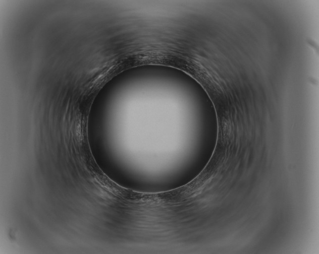 X0000091301250200708241043