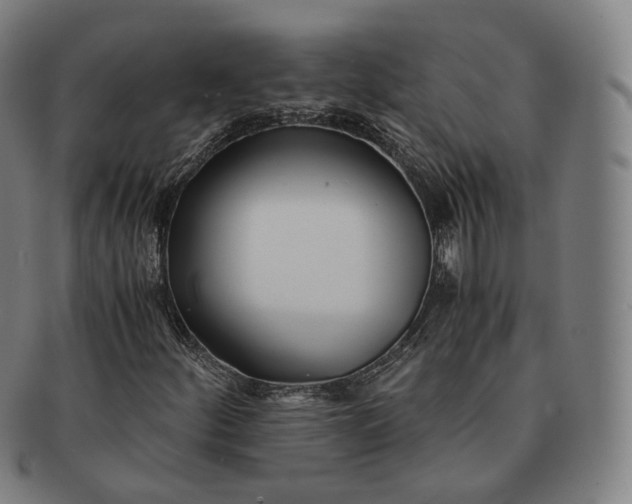 X0000091301252200708241043