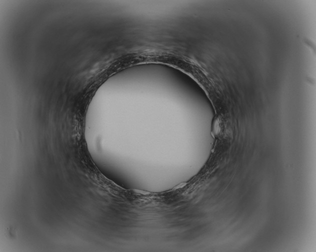 X0000091301253200708241043