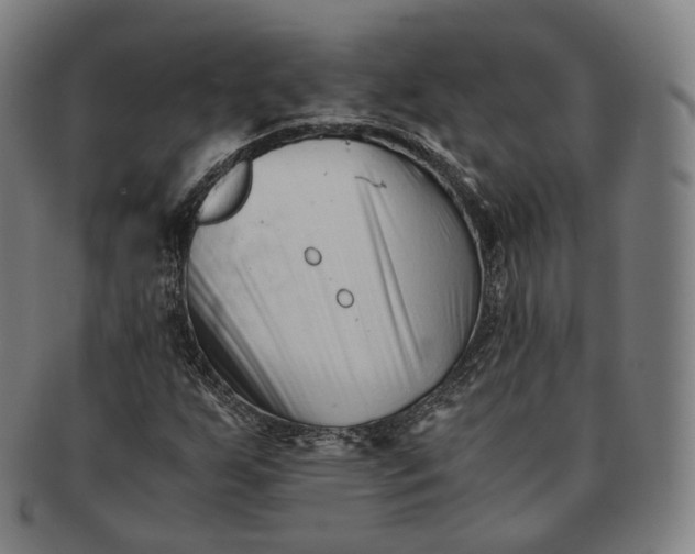 X0000091301255200708241043