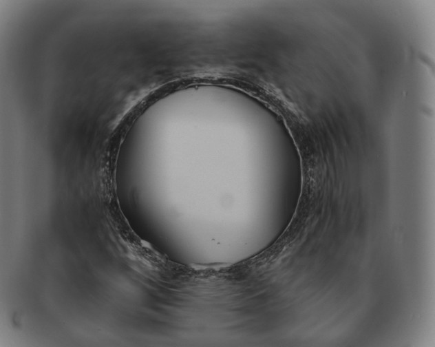 X0000091301256200708241043