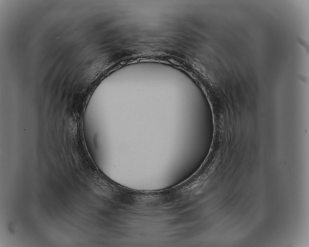 X0000091301257200708241043