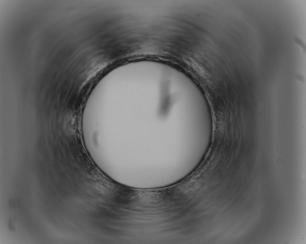 X0000091301258200708241043