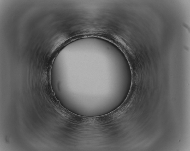 X0000091301259200708241043