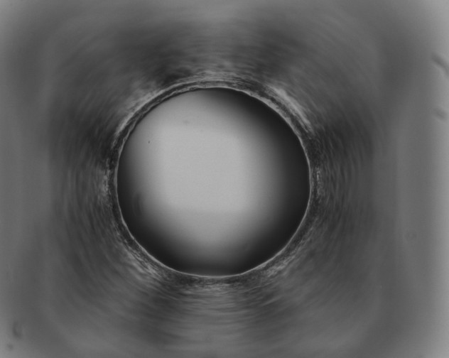 X0000091301260200708241043