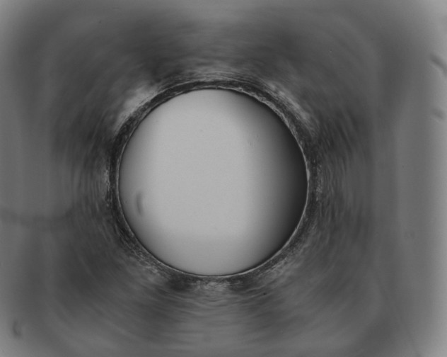 X0000091301261200708241043