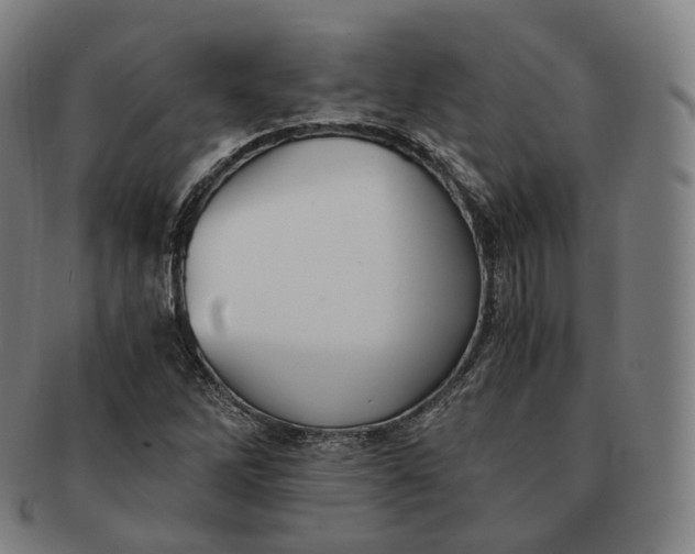 X0000091301262200708241043