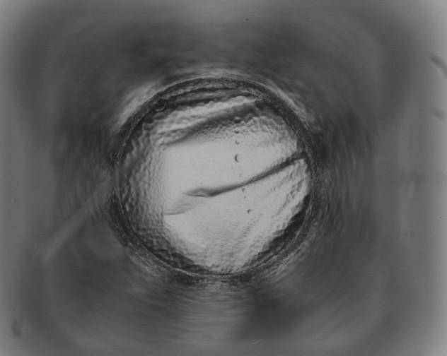 X0000091301263200708241043