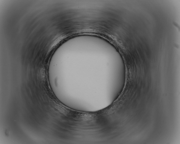 X0000091301266200708241043