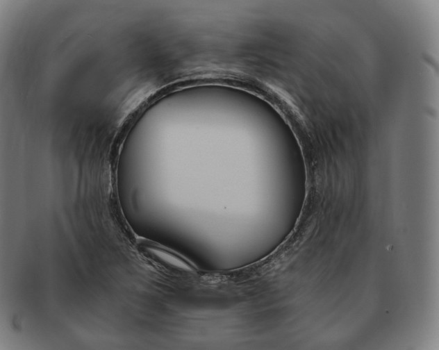 X0000091301267200708241043