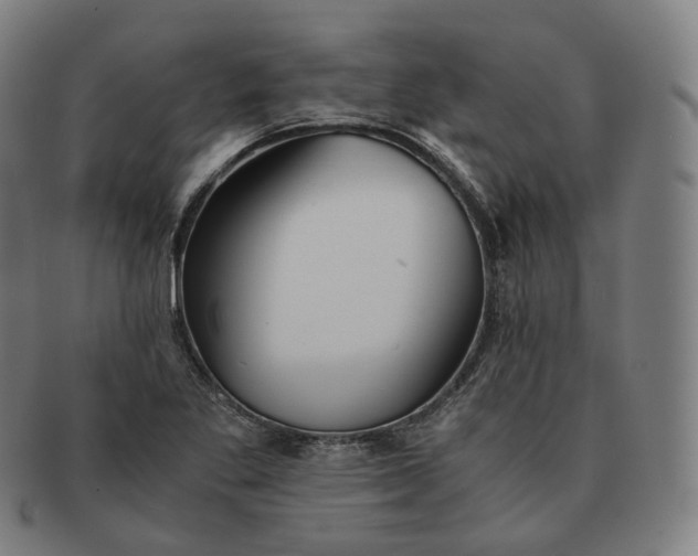 X0000091301269200708241043