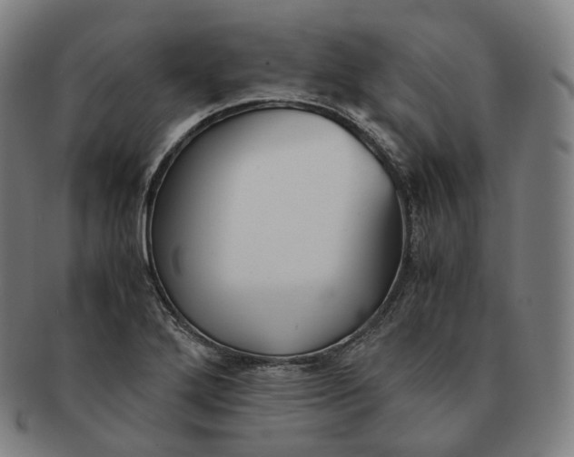 X0000091301272200708241043