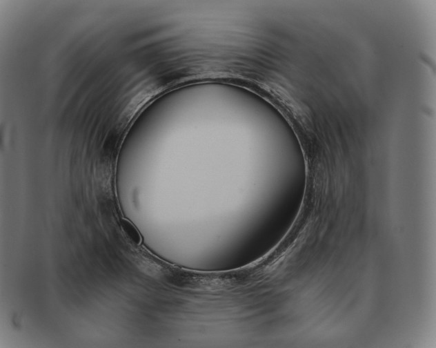 X0000091301273200708241043