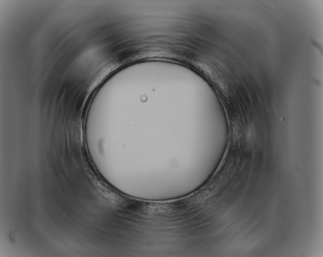 X0000091301274200708241043