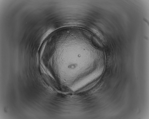 X0000091301275200708241043