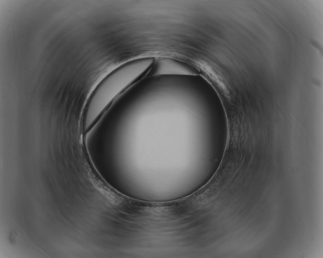 X0000091301276200708241043