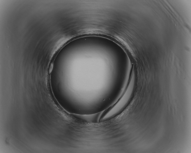 X0000091301277200708241043