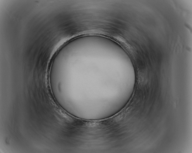 X0000091301278200708241043