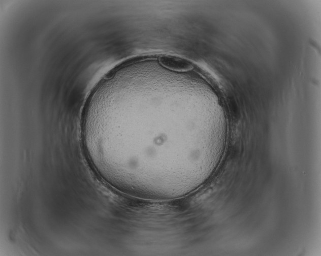 X0000091301279200708241043