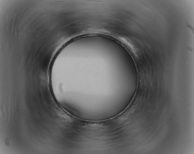 X0000091301280200708241043