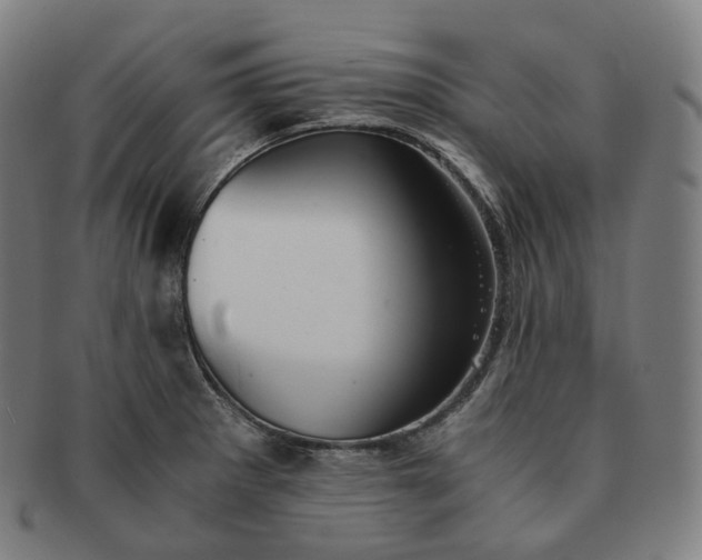 X0000091301281200708241043