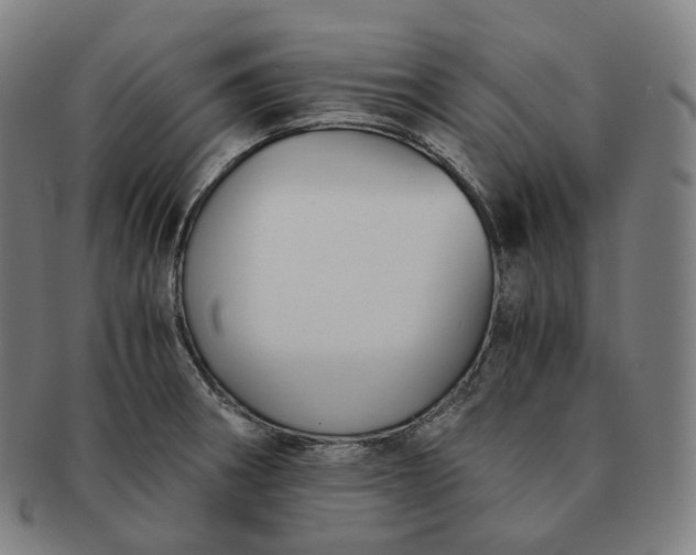 X0000091301282200708241043