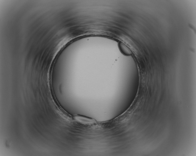 X0000091301283200708241043