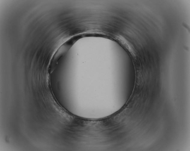 X0000091301284200708241043