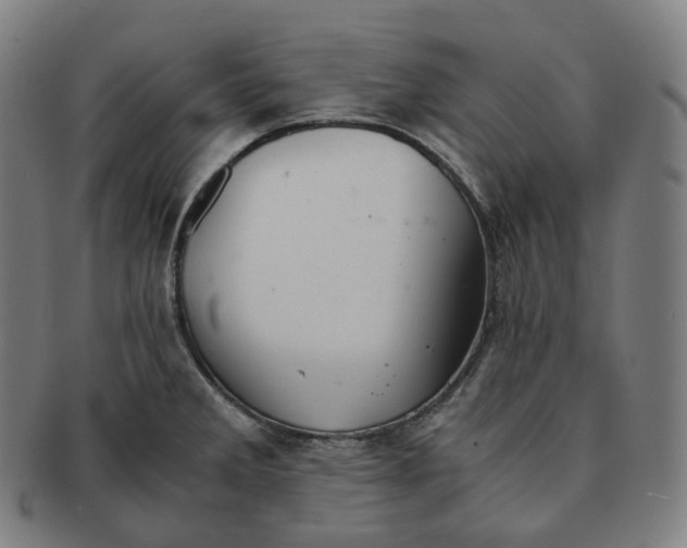 X0000091301285200708241043