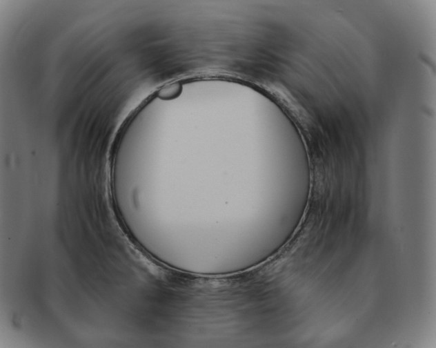 X0000091301286200708241043