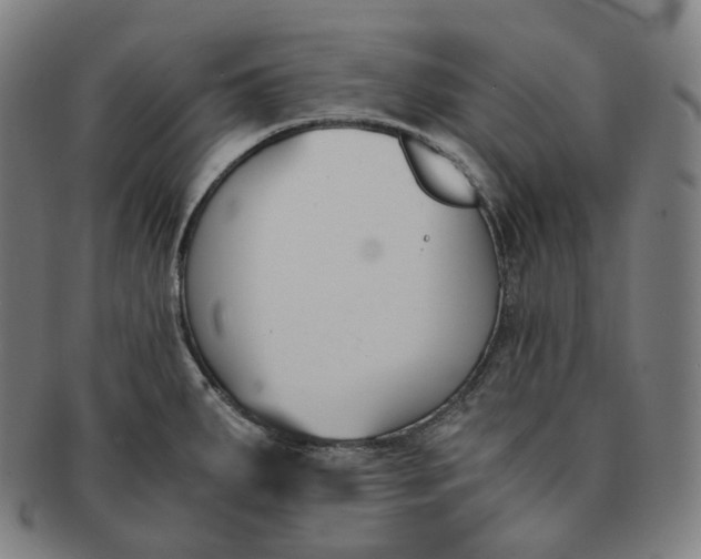 X0000091301287200708241043