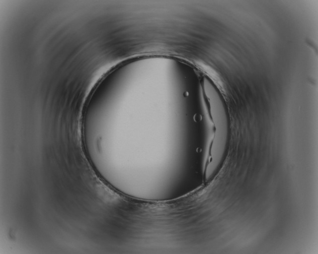 X0000091301288200708241043