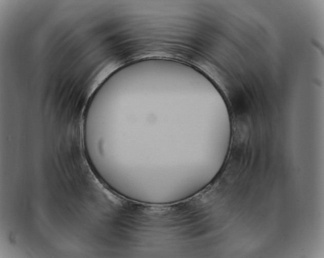 X0000091301290200708241043