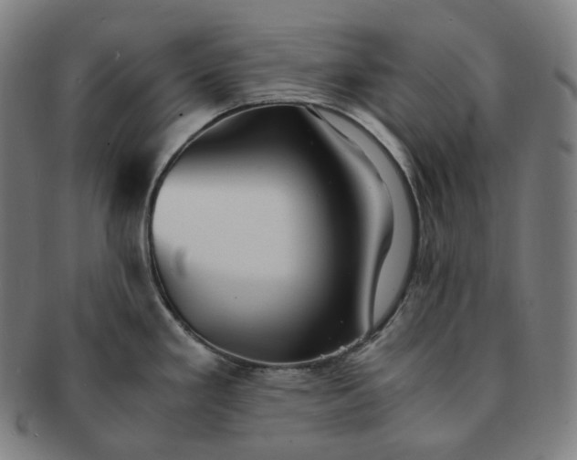 X0000091301293200708241043