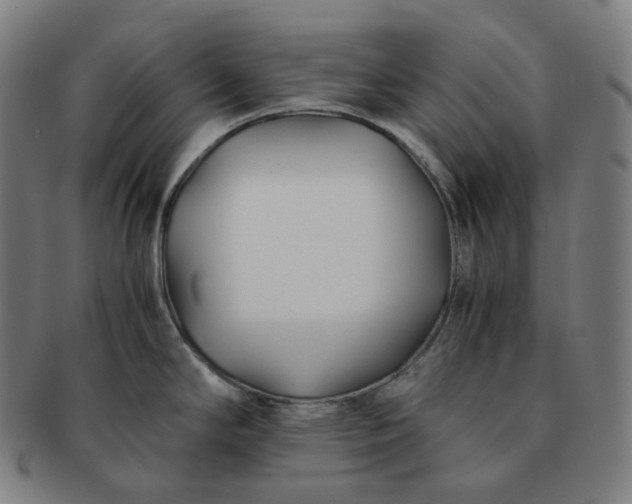 X0000091301294200708241043