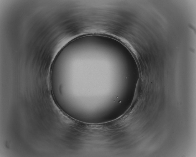 X0000091301295200708241043