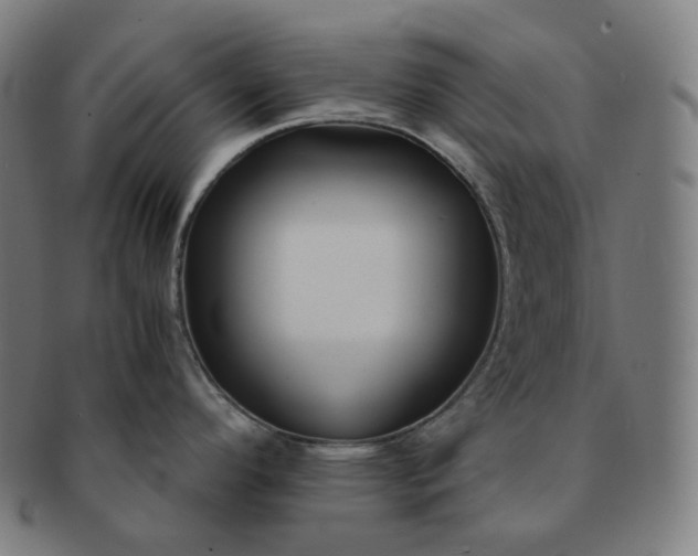 X0000091301296200708241043