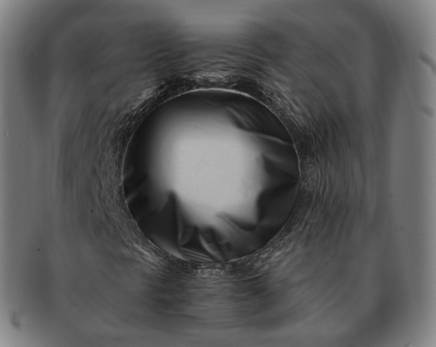 X0000091301297200708241042