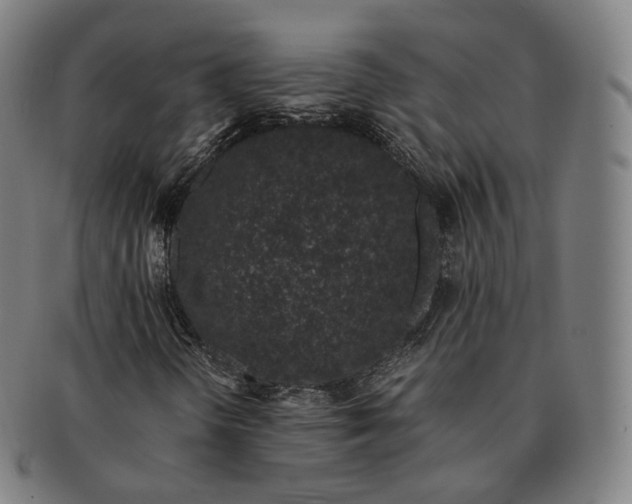 X0000091301298200708241042