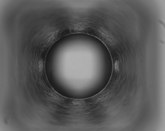 X0000091301299200708241042