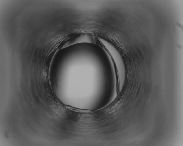 X0000091301300200708241042