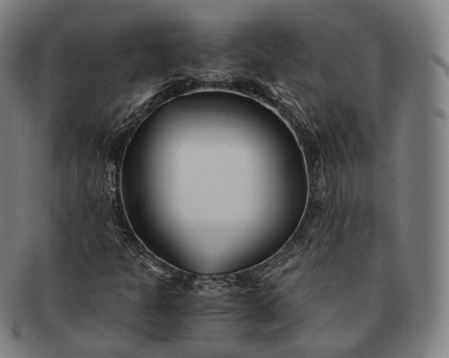 X0000091301301200708241042