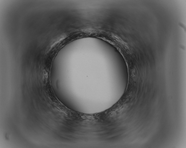 X0000091301302200708241042