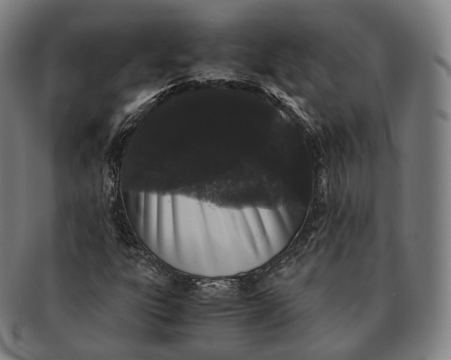 X0000091301303200708241042