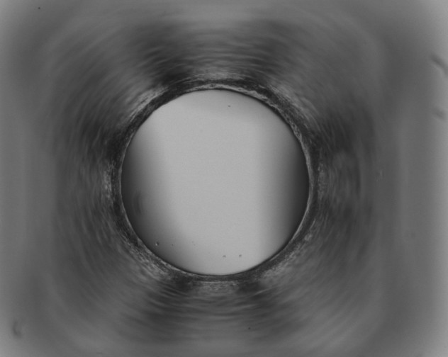 X0000091301305200708241042