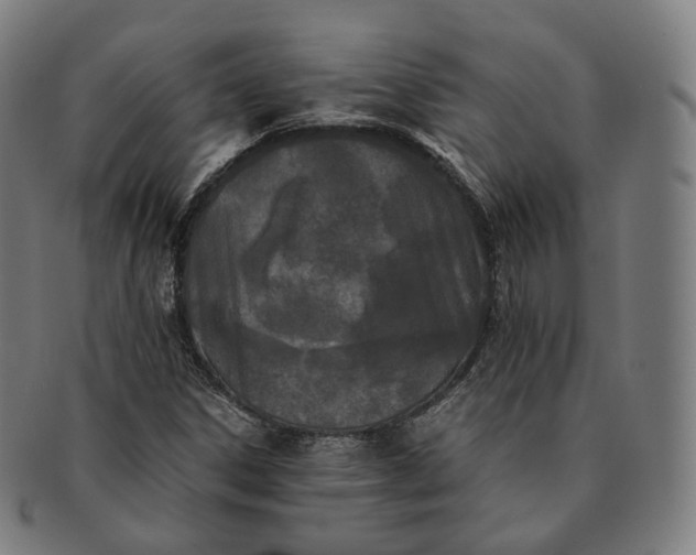 X0000091301306200708241042