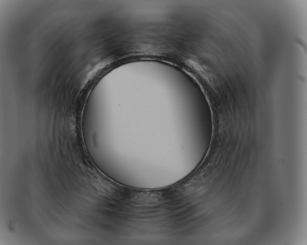 X0000091301307200708241042